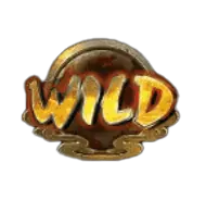 金雲Wild百搭圖示